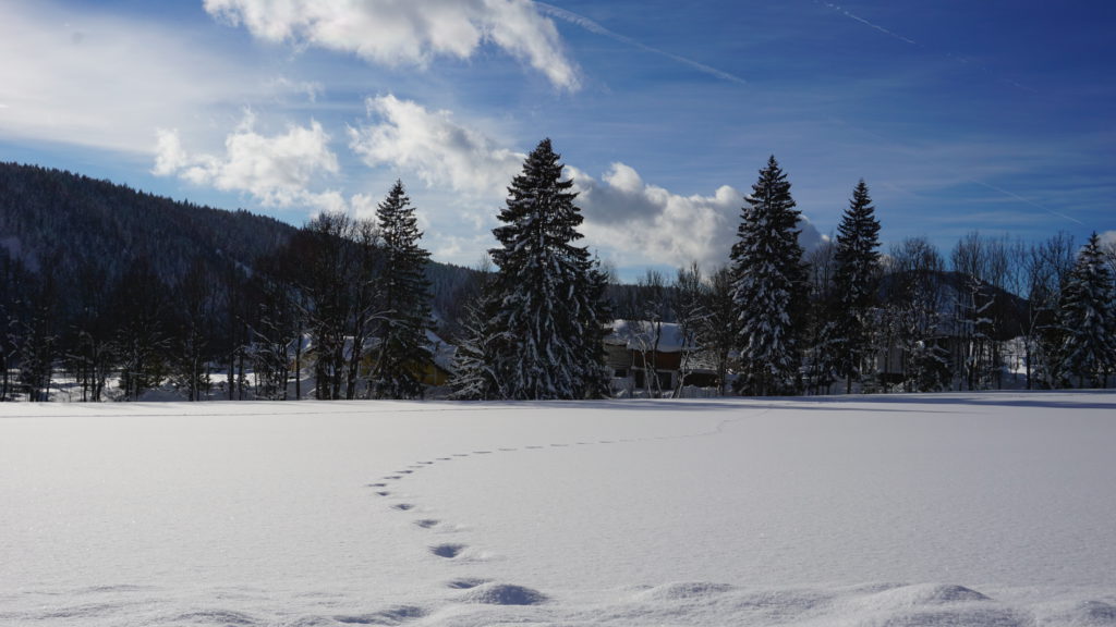 Ramsau Dachstein Winterurlaub Jahresrückblick Blogger