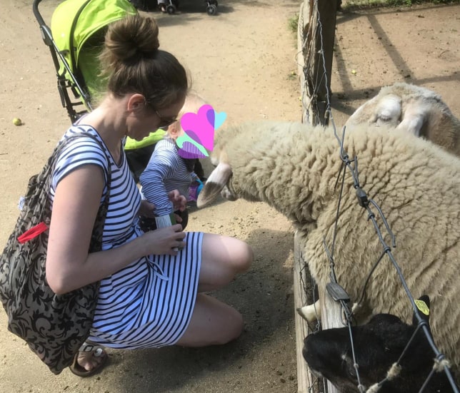 Schafe füttern in der Fasanerie Wiesbaden Tierpark Ausflug mit Kleinkind
