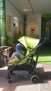 Buggy von Joie Brisk LX Erfahrungsbericht mit Kleinkind in der Fasanerie Wiesbaden Tierpark Ausflug mit Kleinkind