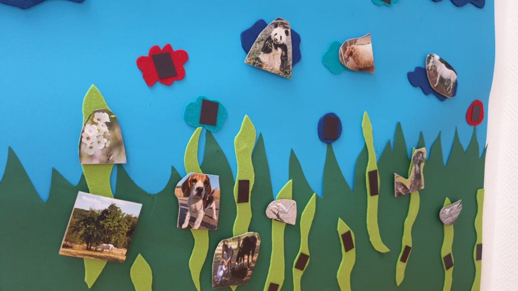 selbstgemachte Magnetische Fotowand für Kleinkinder mit Fotos von Tieren Schritt für Schritt Anleitung DIY